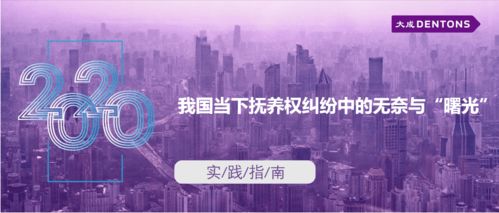 我國當(dāng)下?lián)狃B(yǎng)權(quán)糾紛中的無奈與曙光